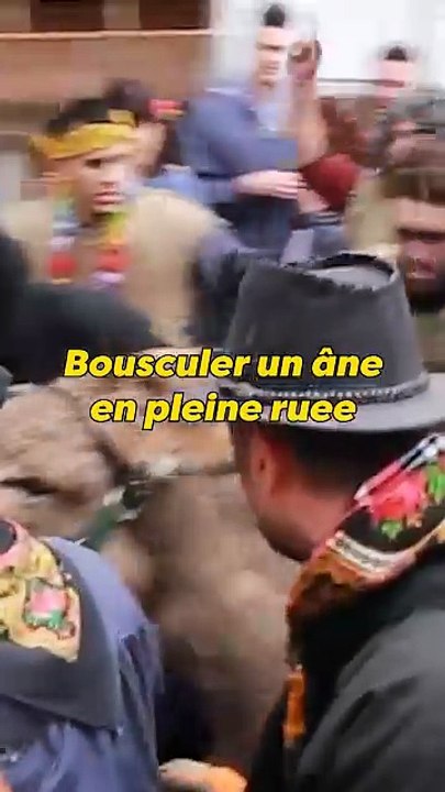 Une fête bien triste pour les ânes !