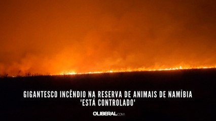 Gigantesco incêndio na reserva de animais de Namíbia 'está controlado'