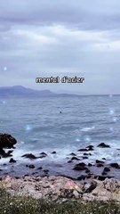 Les yeux rivés sur l'objectif #motivation #conseils #citation #inspiration