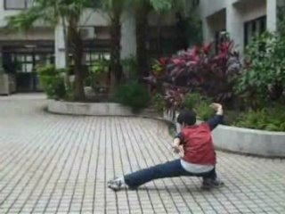 Plum Blossom Quan (Mei Hua Quan) by Tim Wong in ...