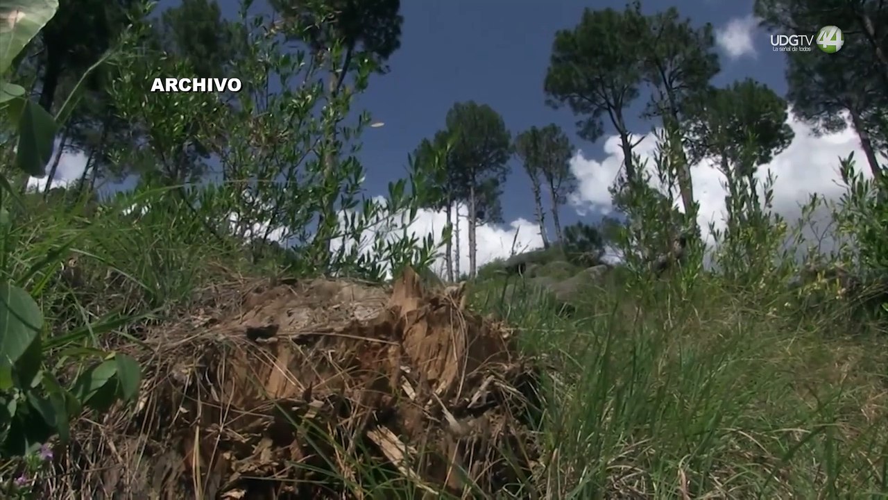 Avalan reforma que “blinda” a las áreas naturales protegidas
