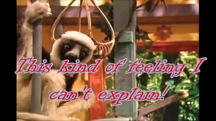 Zoboomafoo - I feel Skunk-ish