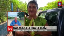 Oaxaca se consolida como el principal productor de variedades nativas de maíz a nivel nacional