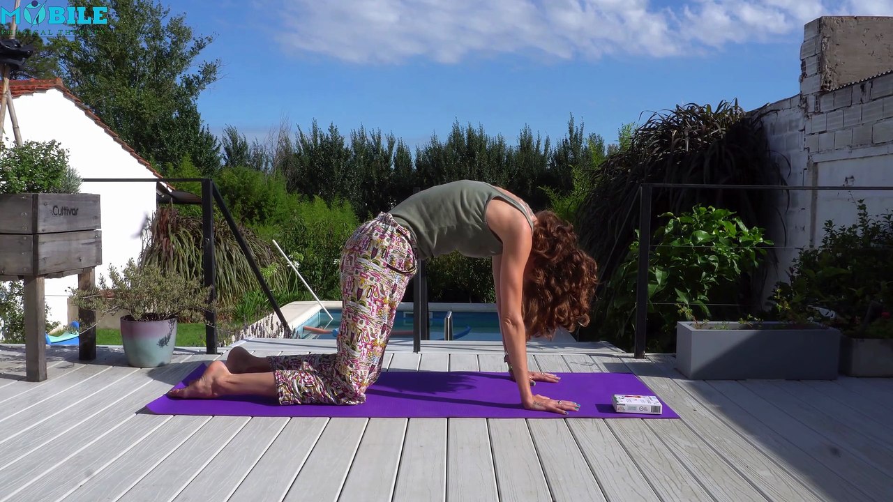 Align Your Spine At Home | Easy Physiotherapy Exercise