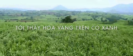 Tôi Thấy Hoa Vàng Trên Cỏ Xanh (Yellow Flowers on the Green Grass) - Phim Việt Nam | FULL