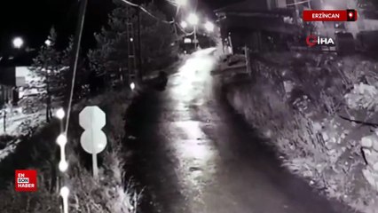 Erzincan’da yerleşim alanlarına inen ayılar vatandaşları tedirgin ediyor