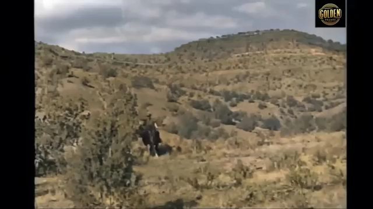 Trending movie  view / The Last Frontier 1961 full movie