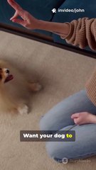 Teach Your Dog to Sit in 3 Easy Steps  #DogTraining #PuppyTraining