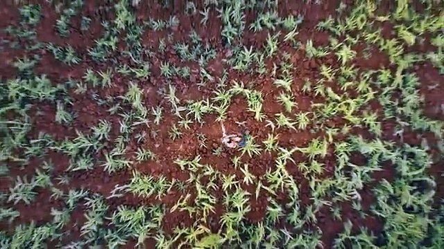 ألين لحود نحو أفق جديد في مسيرتها الفنيّة