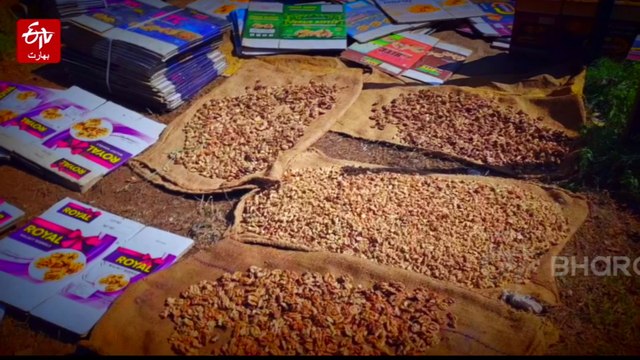 بارہمولہ کے اڑی میں اخروٹ کی اچھی فصل، کسان خوش، انٹرنیشنل مارکیٹ میں نمائندگی کی اپیل