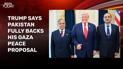 Donald Trump praises Pakistan's Sharif, Munir for backing Gaza peace proposal
