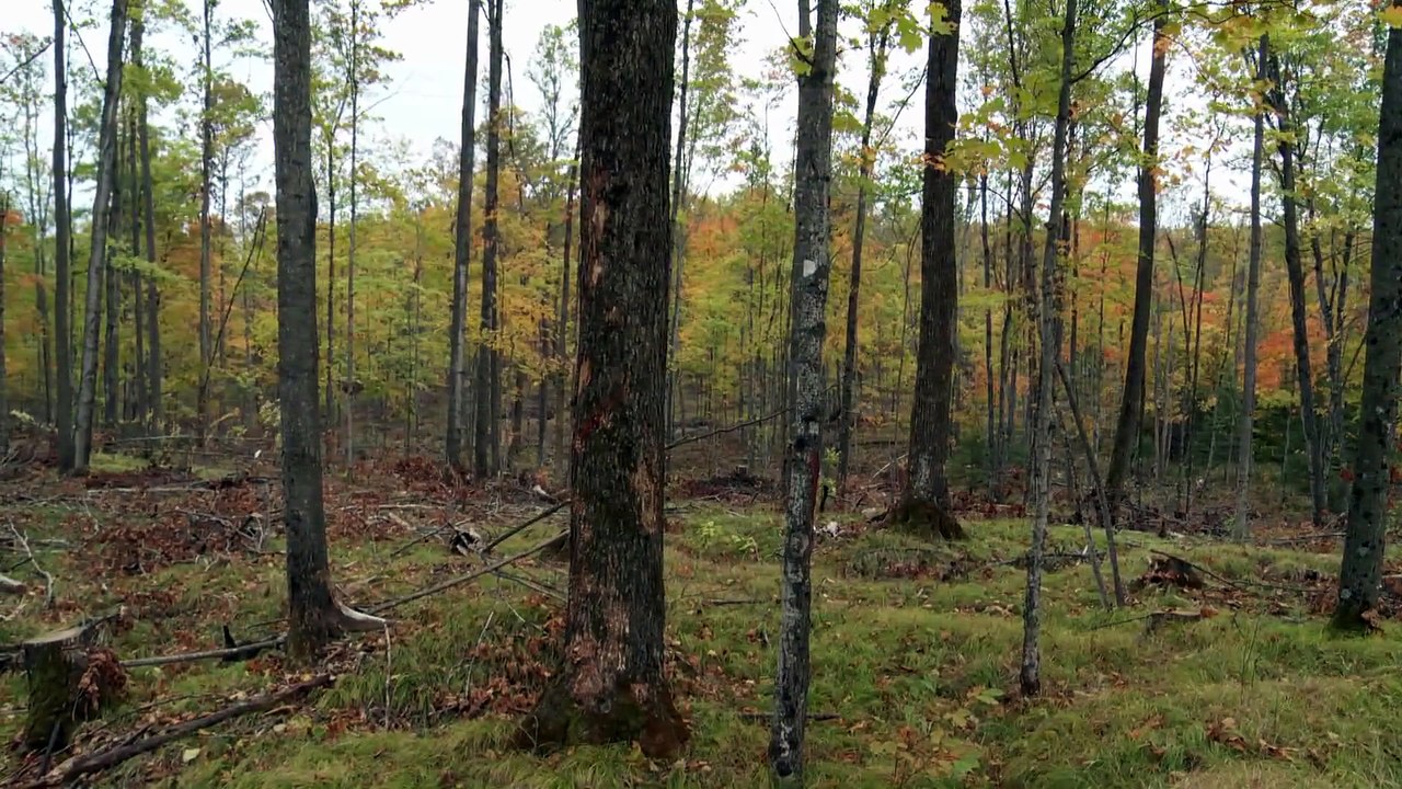 Wardens of the North S05E09 (2025)