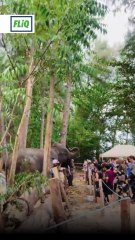 Taman Rekreasi Kuala Ibai