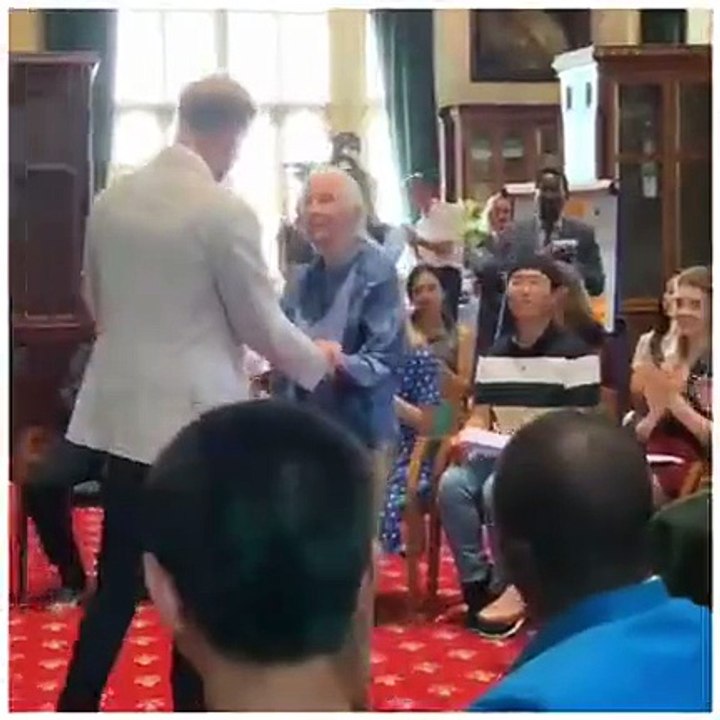 فيديو طريف للأمير هاري يرقص على طريقة الشمبانزي