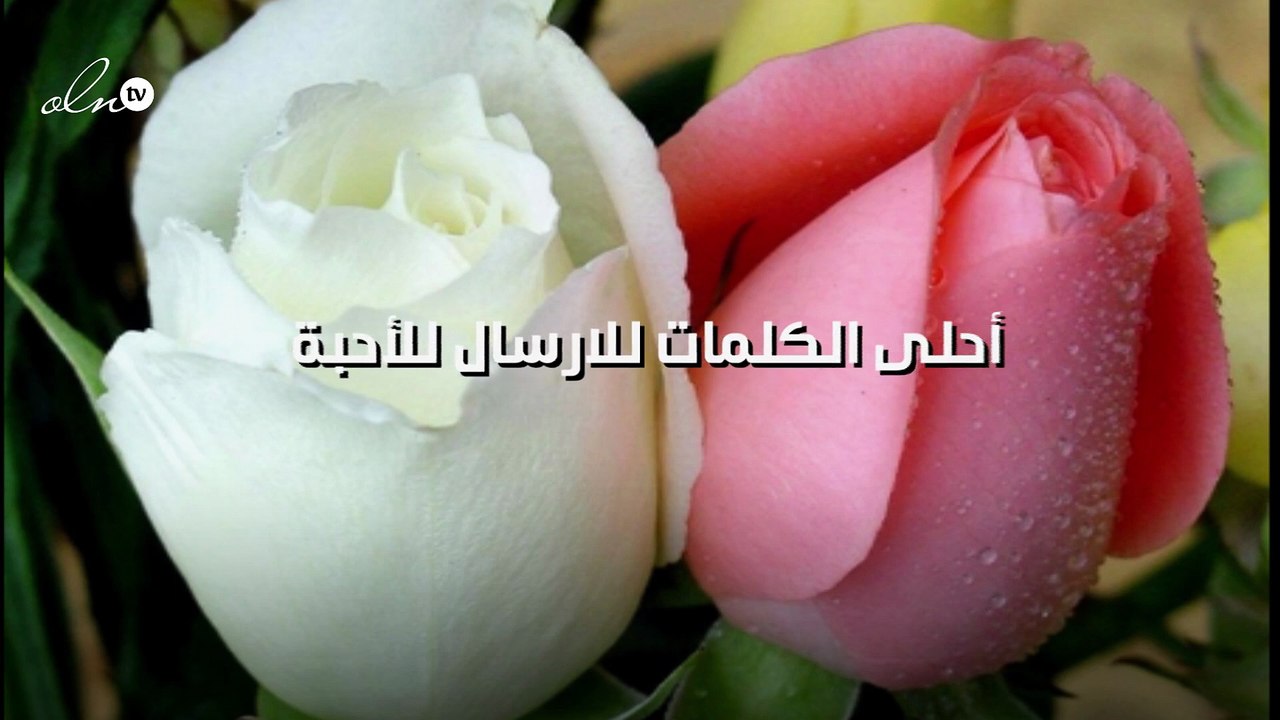 صور زهور