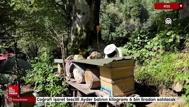 Coğrafi işaret tescilli Ayder balının kilogramı 6 bin liradan satılacak