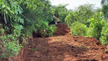 How the D6R XL Bulldozer Completes Road Service Quickly