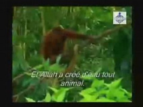 Extraits de la vidéo Ne voient-il pas? : extrait n°2