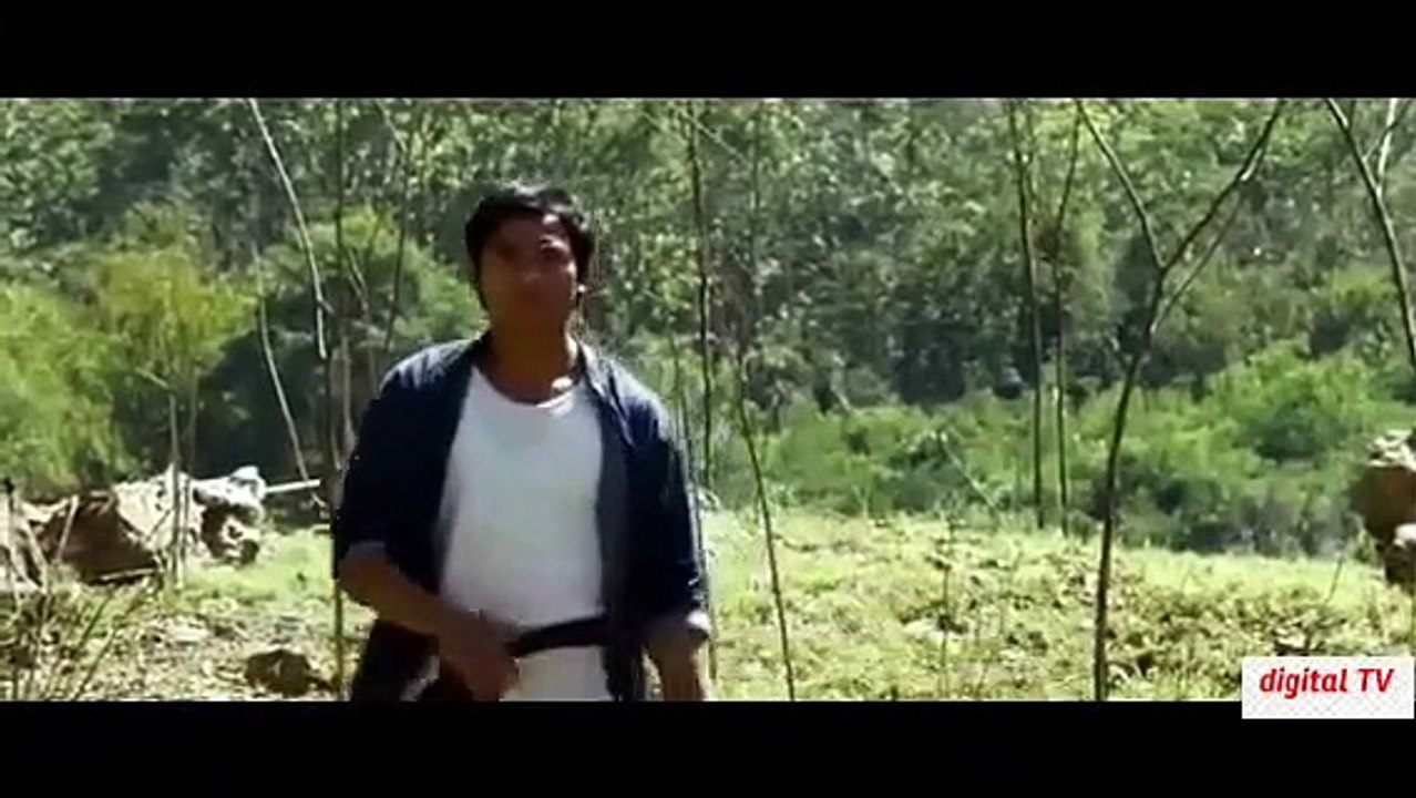 The-Protector-2-(2025)-Hindi-Dubbed HD