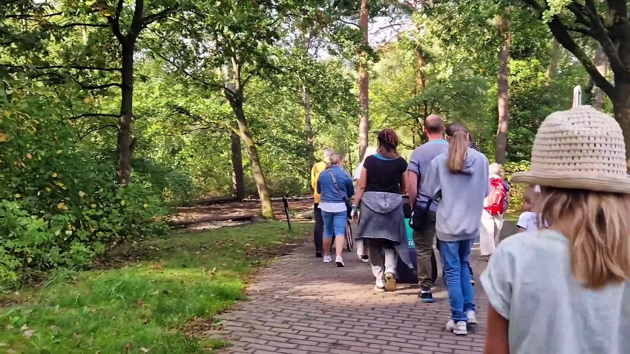 Die "Grüne Bande" im Center Parcs Bispinger Heide!