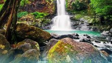 6 Fakta Unik Air Terjun Pung Bunga di Kabupaten Maros