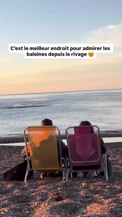 🌊 Playa Las Canteras, à Puerto Madryn, est l’un des meilleurs endroits pour admirer les baleines à marée haute, tout près du rivage avec @martin_rito