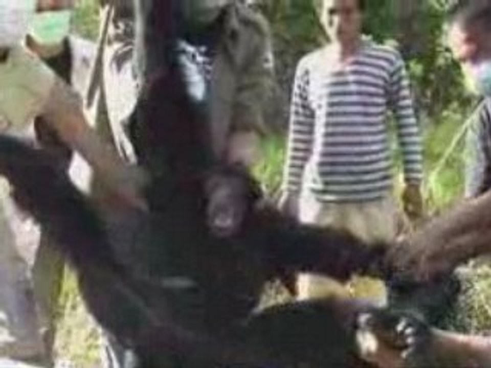 Bande Annonce Ep 2 Les Missions de Chanee