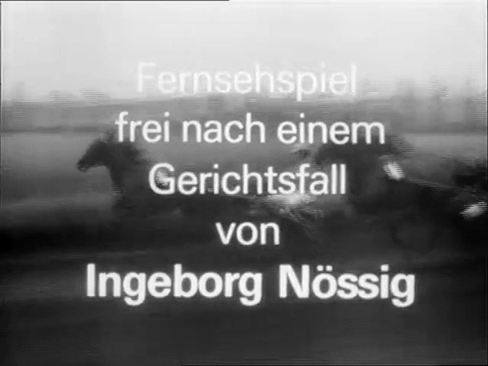 Der Staatsanwalt hat das Wort-Felix kauft ein Pferd