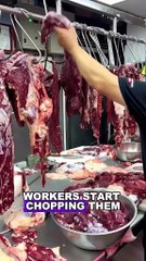 Beef Scrap vs Smooth Cut: Which Job Is Tougher?