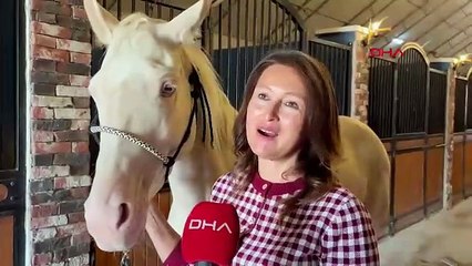 Bu genç kadın 3 bin yıllık ''Ahal Teke''leri Ankara'da yetiştiriyor!