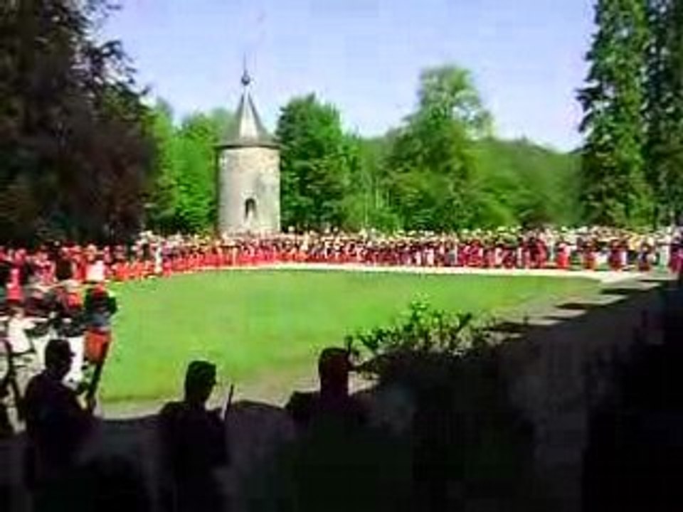 Sainte Rolende 2008 - Décharge au château d'Acoz