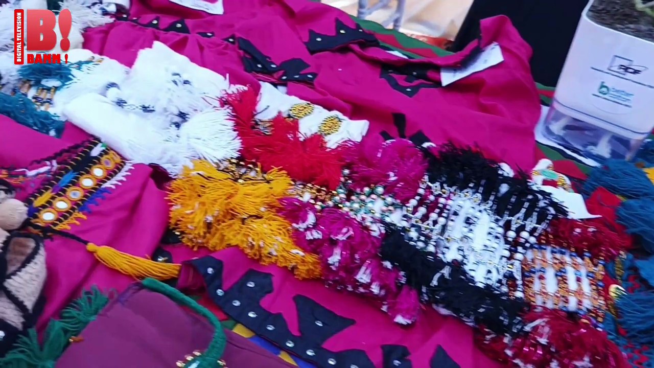 Better Cotton Mela - Bhali Kari Aya (Documentary)