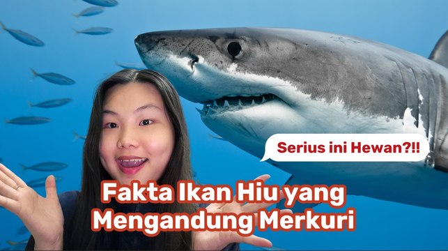 Fakta Tentang Ikan Hiu-Serius Ini Hewan?