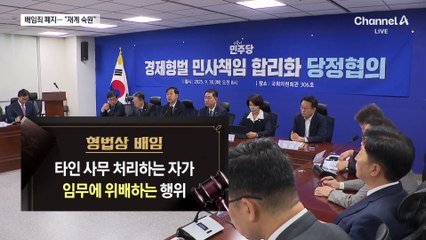 정부·여당, ‘형법상’ 배임죄 폐지도 확정