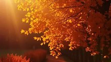 Horoscop 29 septembrie - 5 octombrie 2025 - oferit de horoscop-urania.org