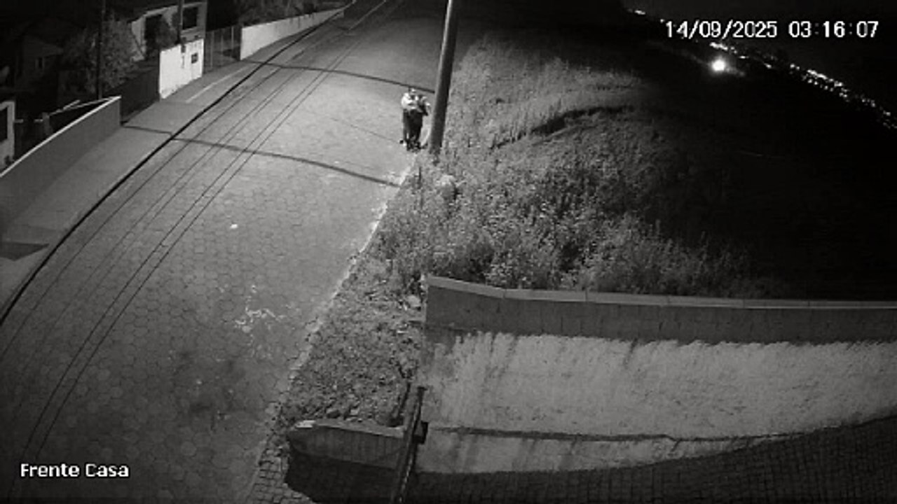 Mulheres são flagradas abandonando e amarrando cachorro em poste