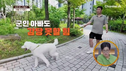 휴대전화만 하는 아빠 보호자?! 놀아줄 친구가 없어서 서운한 늑대 3호