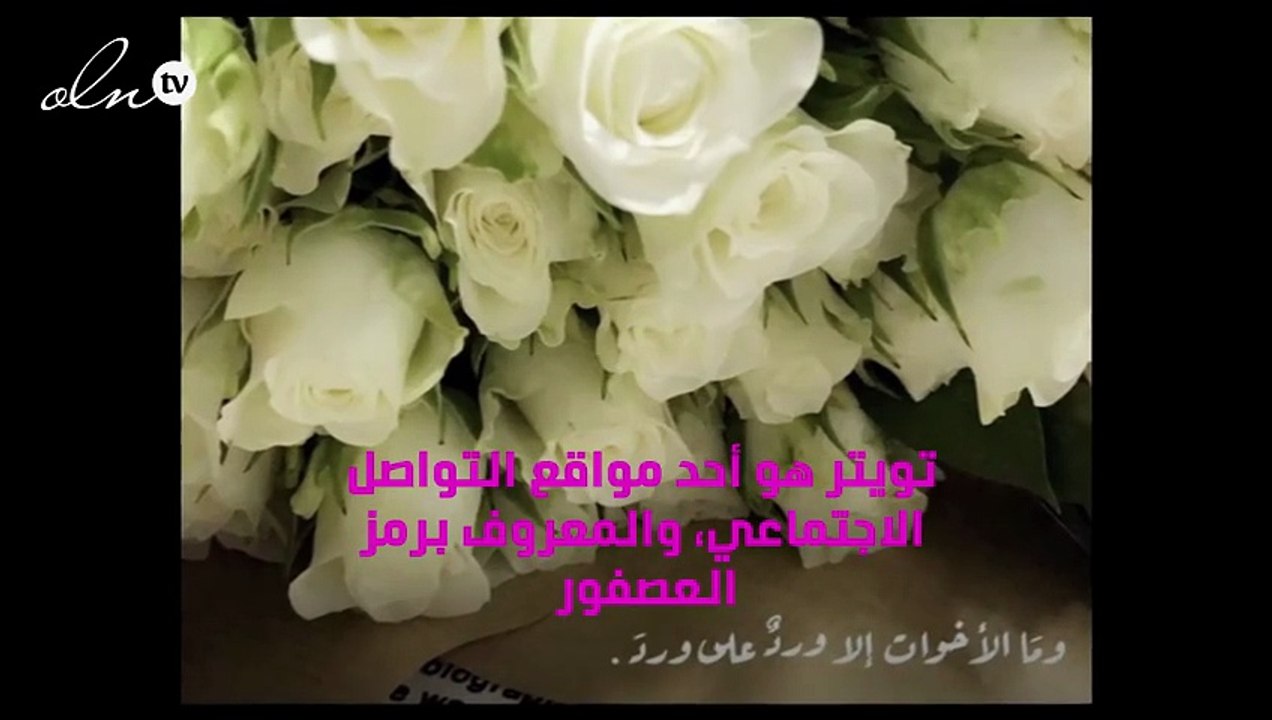 صباح الورد تويتر