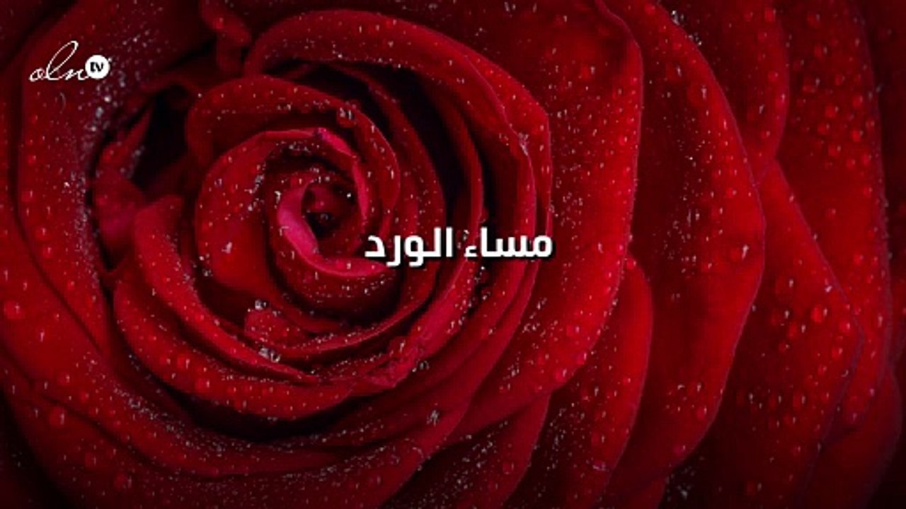 مساء الورد