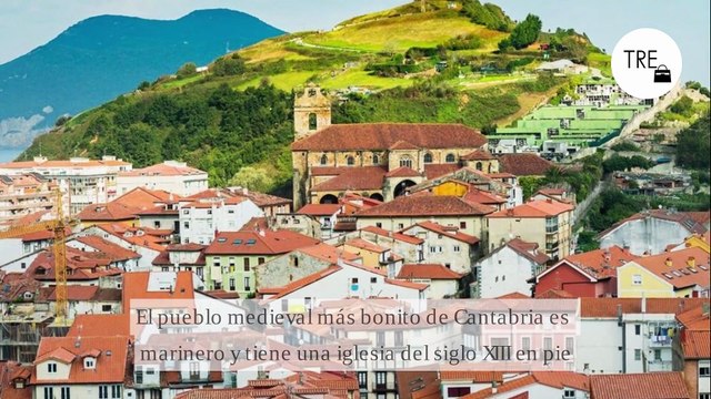no todas las cremas ‘cica’ llevan centella asiática, “pero sí que todas tienen que llevar principios activos con unas propiedades similares a esta planta .