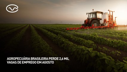 Agropecuária brasileira perde 2,6 mil vagas de emprego em agosto