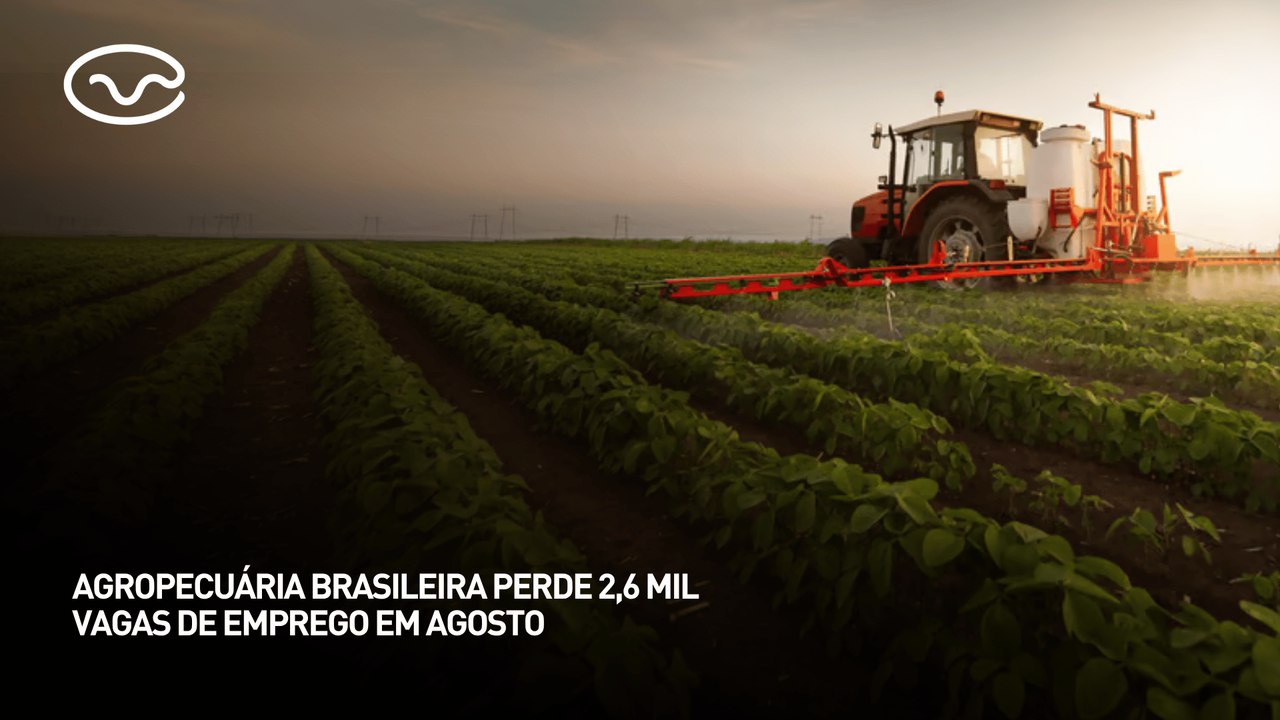 Agropecuária brasileira perde 2,6 mil vagas de emprego em agosto