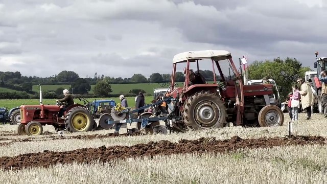Martyn Smale of Cheriton Fitzpaine competing at Cheriton Fitzpaine Ploughing Match, video Alan Quick IMG_3577