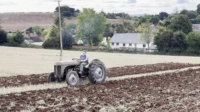 Rachel Reed from Witheridge ploughing at Cheriton Fitzpaine Ploughing Match, video Alan Quick IMG_3599