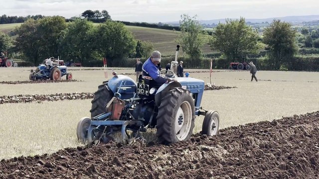 Precision ploughing at Cheriton Fitzpaine Ploughing Match, video Alan Quick IMG_3583