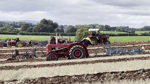 Ploughmen in action at Cheriton Fitzpaine Ploughing Match, video Alan Quick IMG_3637