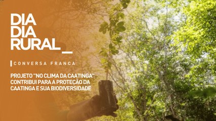 Projeto 'No Clima da Caatinga' Protege a Biodiversidade Única da Região 🌱