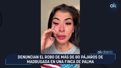 Denuncian el robo de más de 80 pájaros de madrugada en una finca de Palma