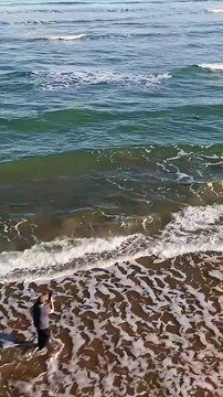 Tubarão é flagrado nadando próximo à faixa de areia em Imbituba