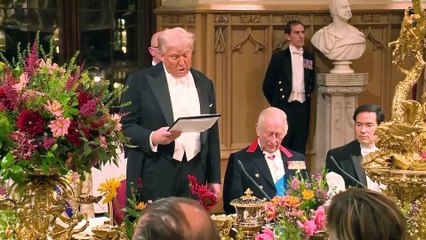 Trump's 20-point Gaza peace plan: What's in it and will it work?